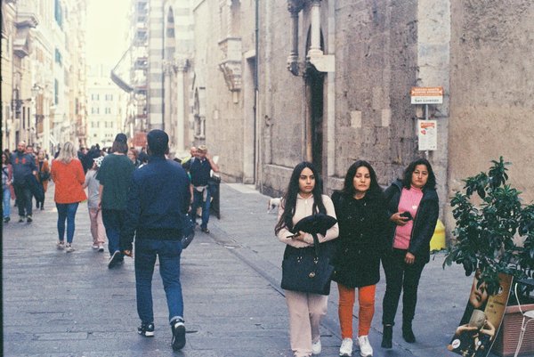 Antarctique : guide des meilleures croisières de luxe abordables